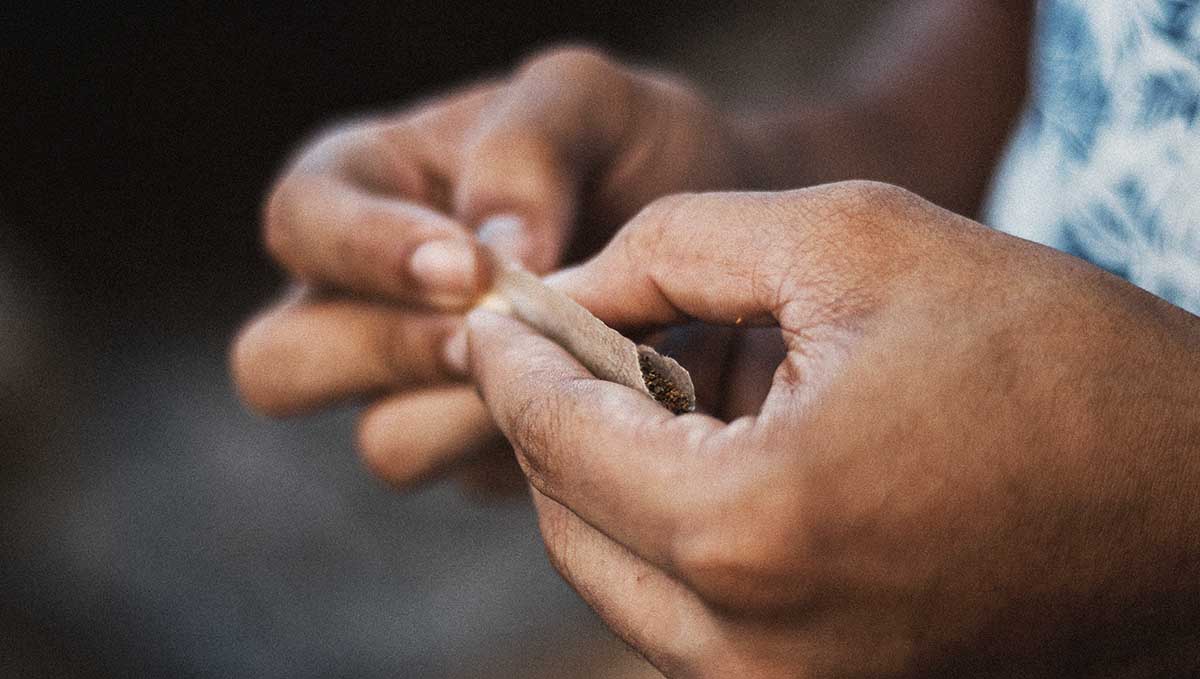Tabak und Gras Alles was du über Spliffs wissen solltest Fast Buds