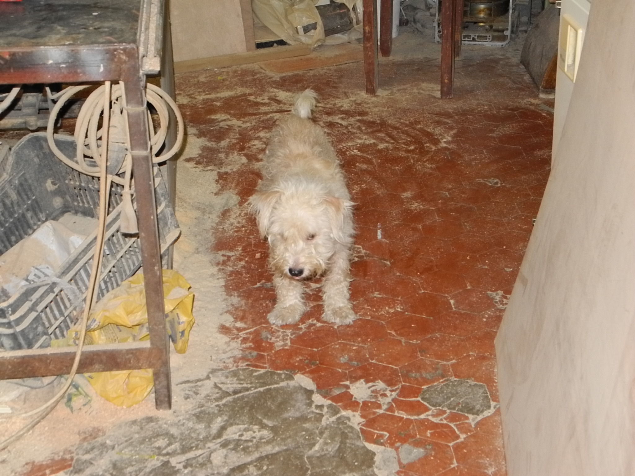 Beshara El Khoury Palace أفكاري