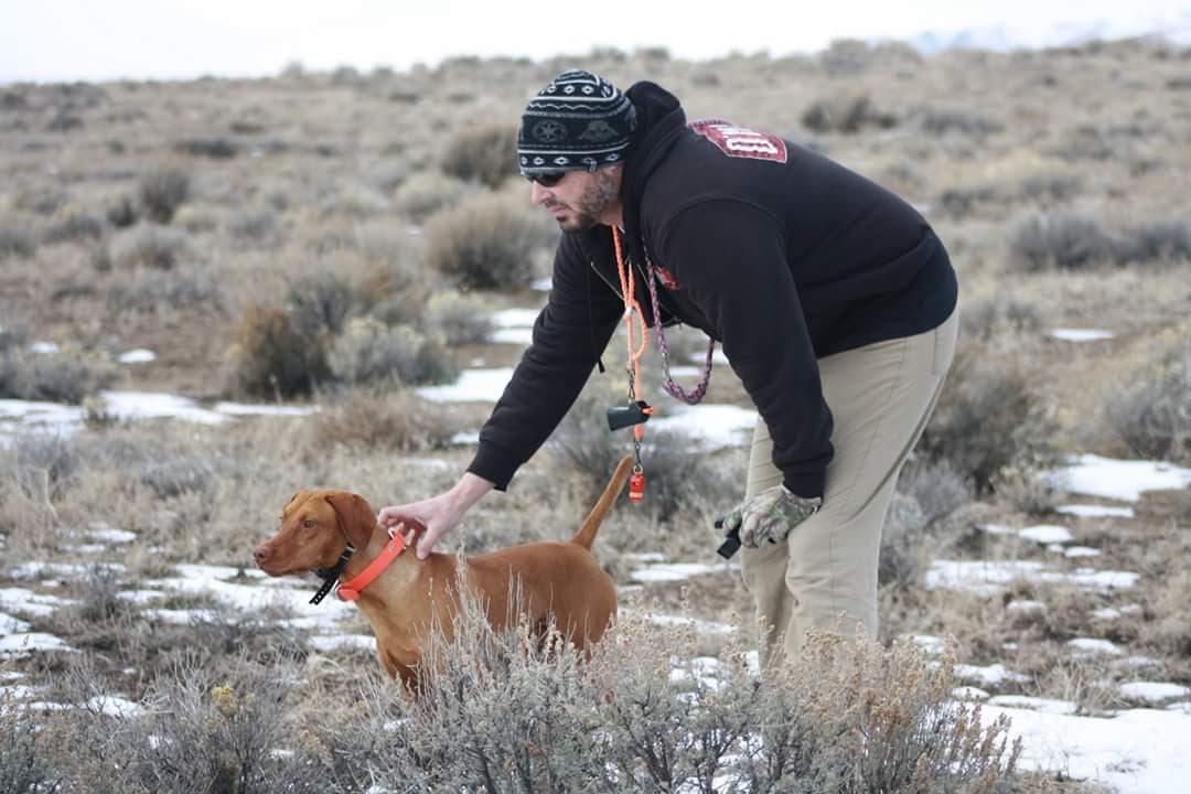 Battle Born Dog Trainers Aaron Linfante—A New Generation of Great Bird