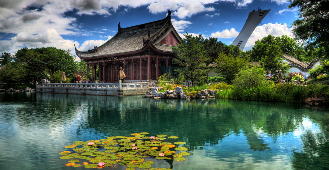 Top 10 rose garden in the world That will touch your heart