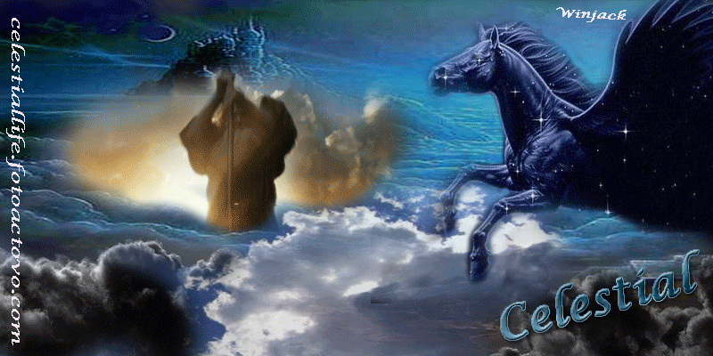 Foro gratis : ghost life