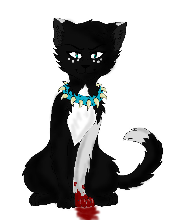 Warrior Cats Ausmalbilder Geißel Malvorlagen
