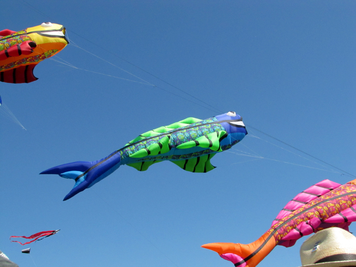 Callaway Kite Flight 2014