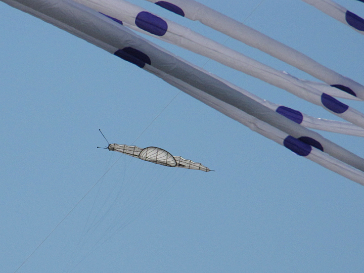 Callaway Kite Flight 2014