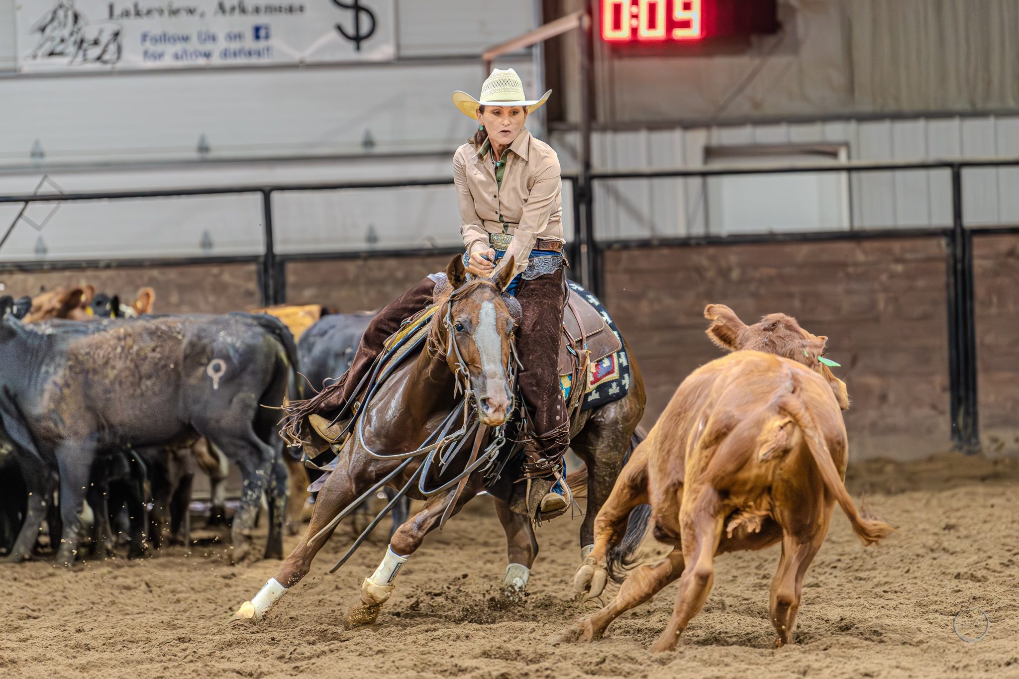 Cutting Horses 2M Sales