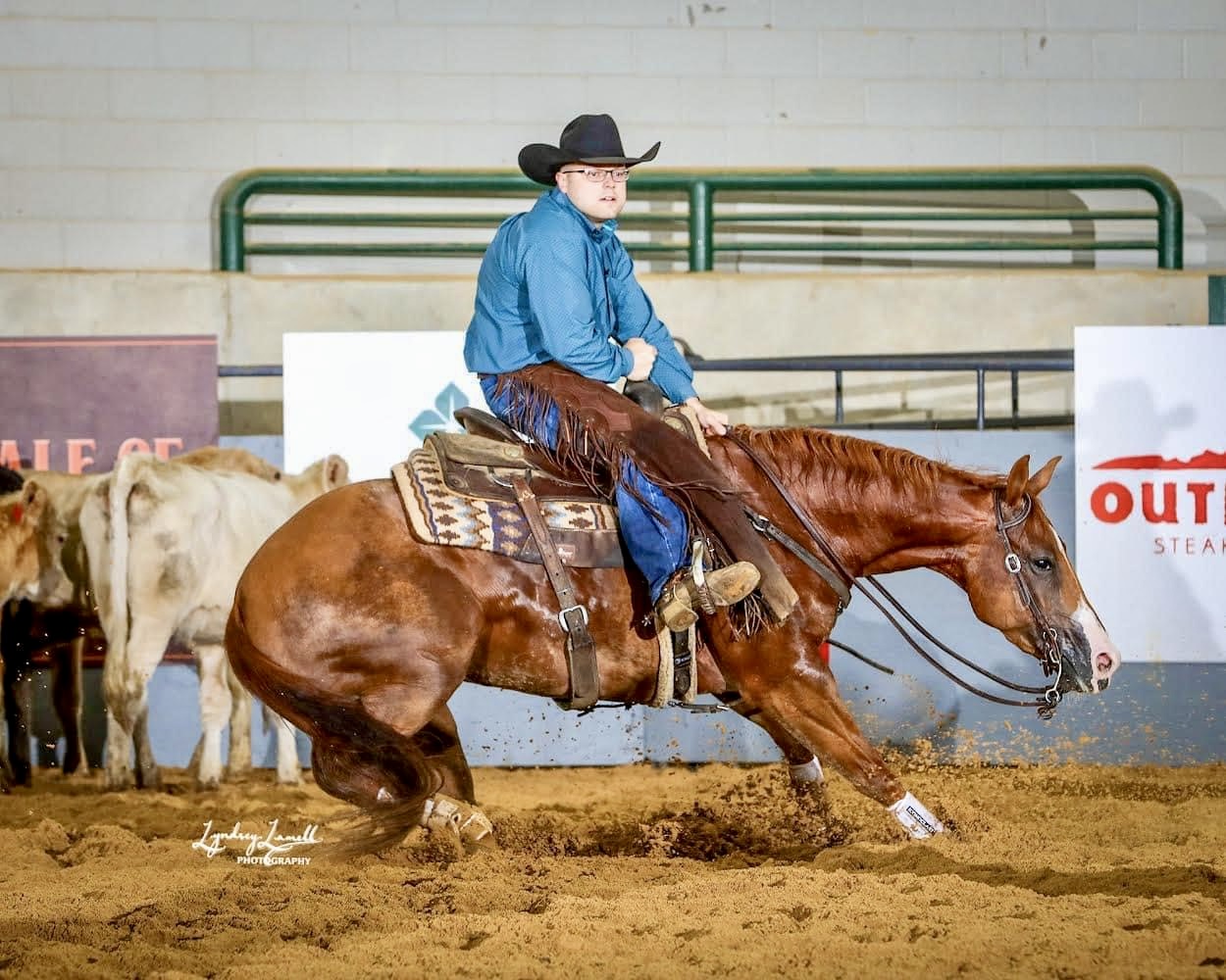 Cutting Horses 2M Sales