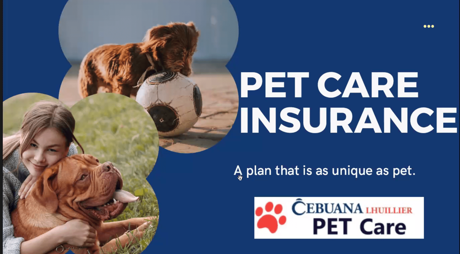 Protect the health of your dogs with Cebuana Lhuillier Pet Insurance 2Ner