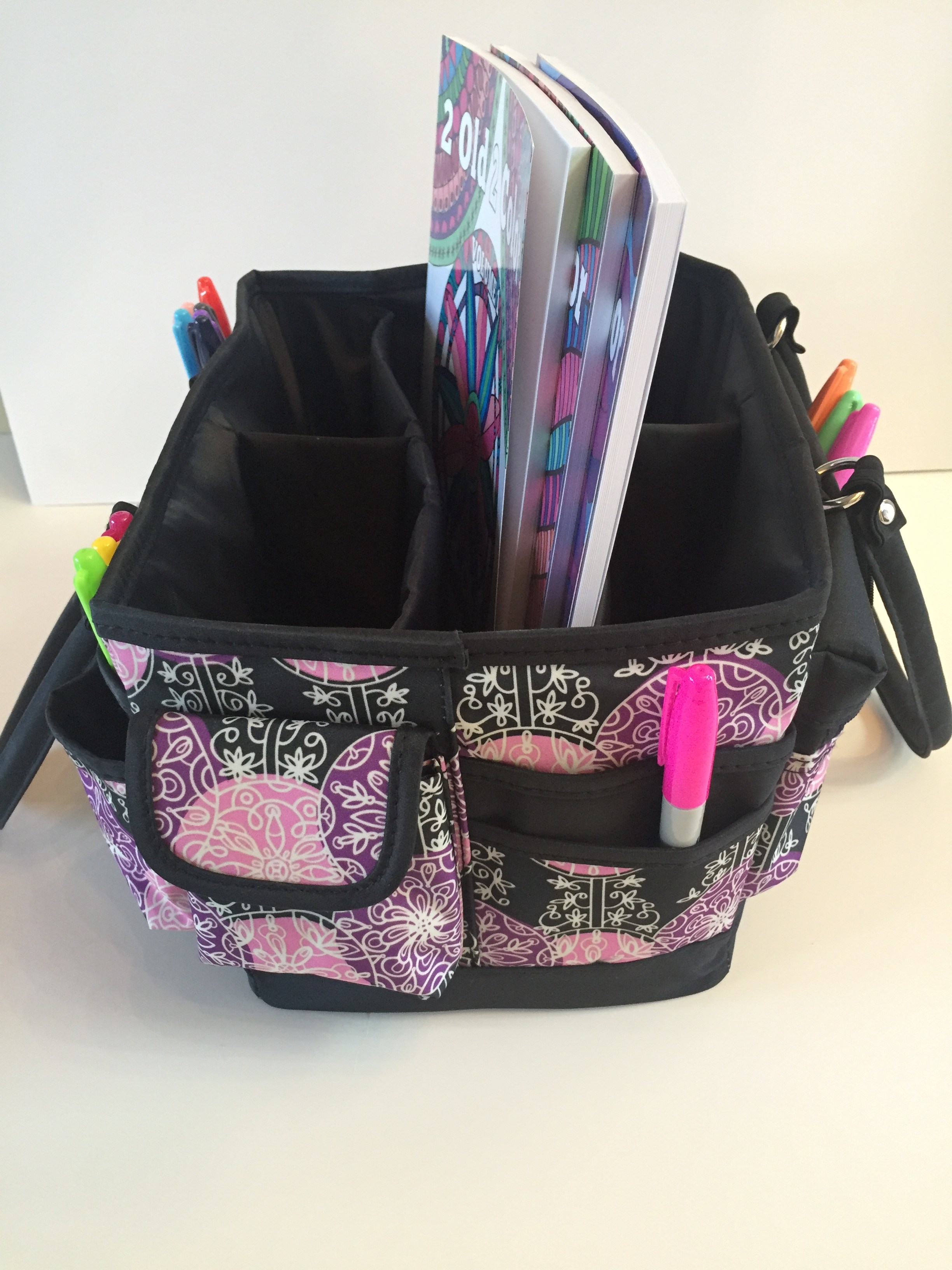 Everything Mary Deluxe Organizer Review 2 Old 2 Color