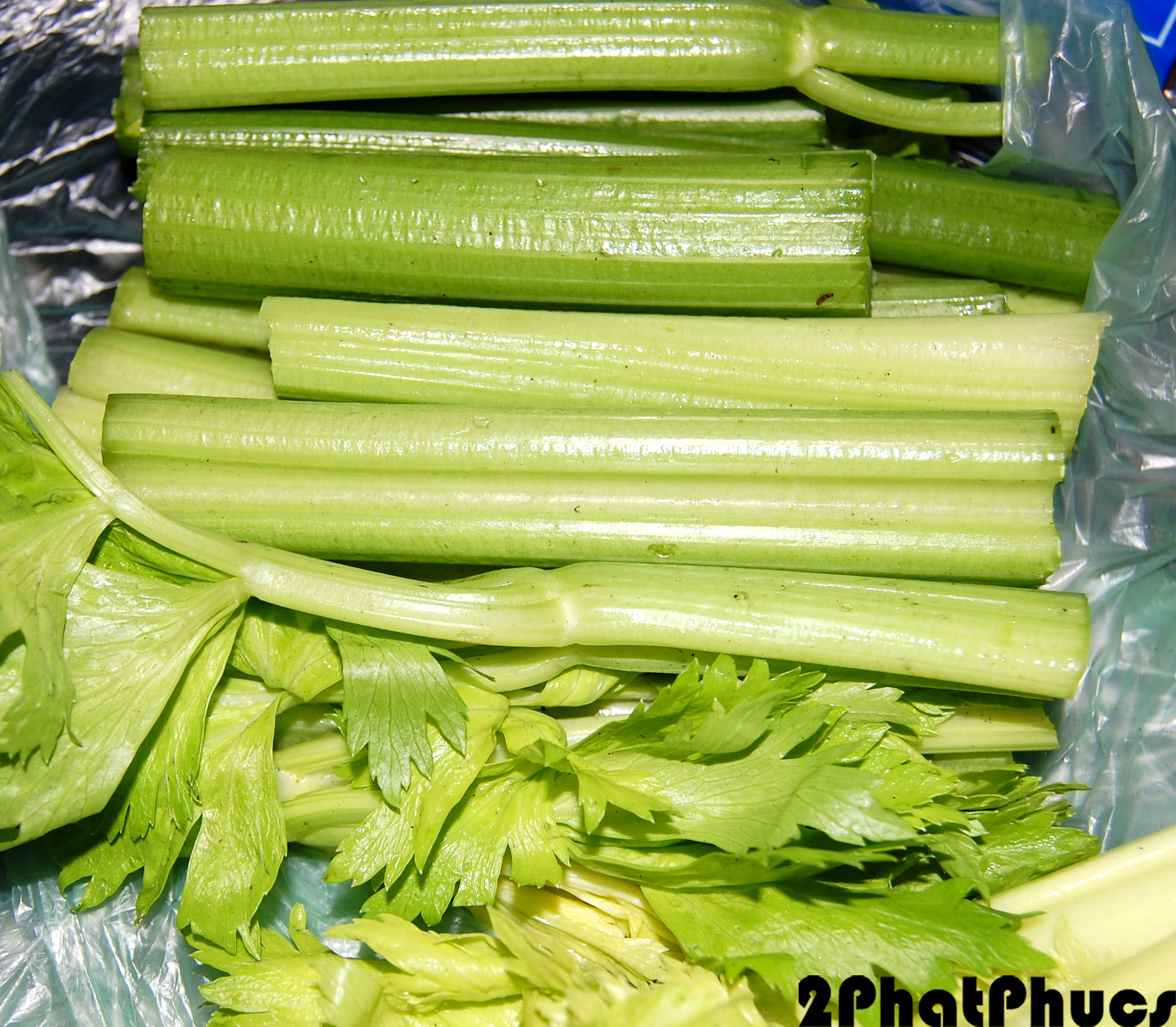 Half celery pack.