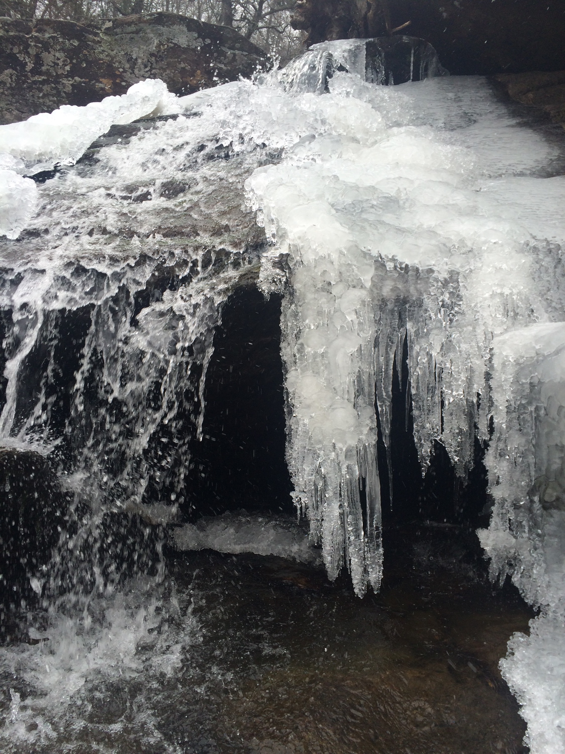 Hebron Rock Colony in ice… 2sparrows
