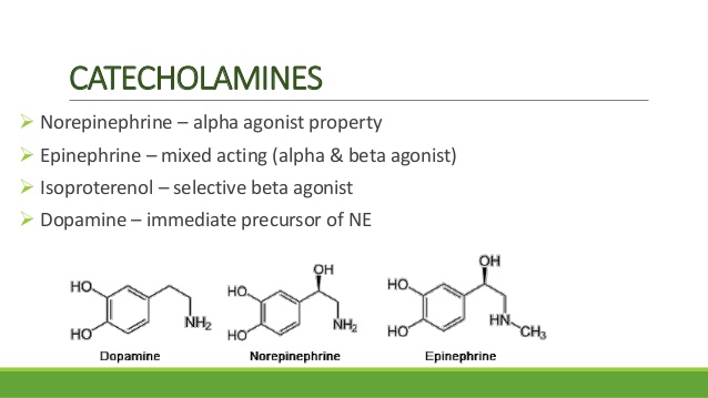 Test Results Catecholamines LD Diagnostics