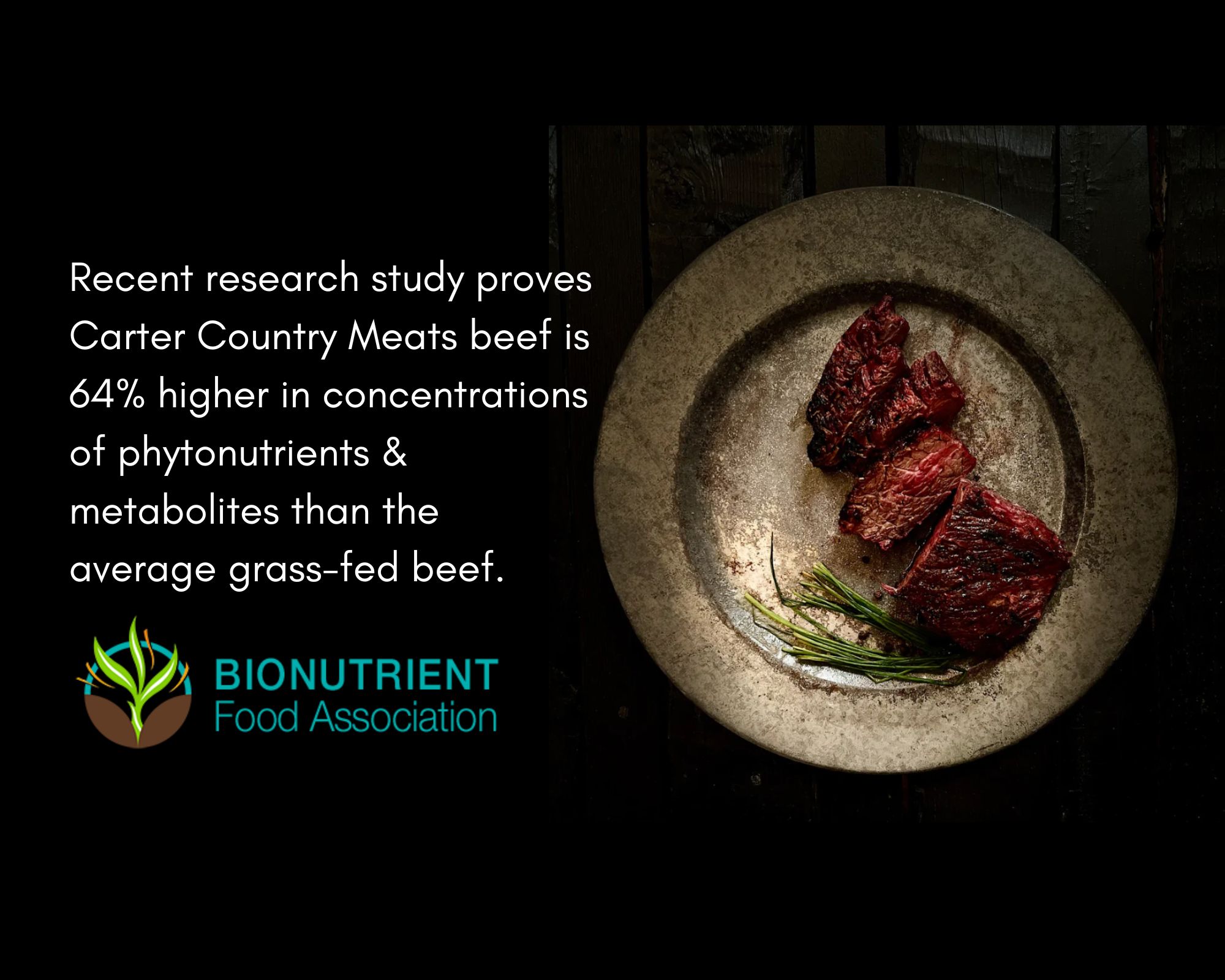 NutrientDense Meats Synergies for Life