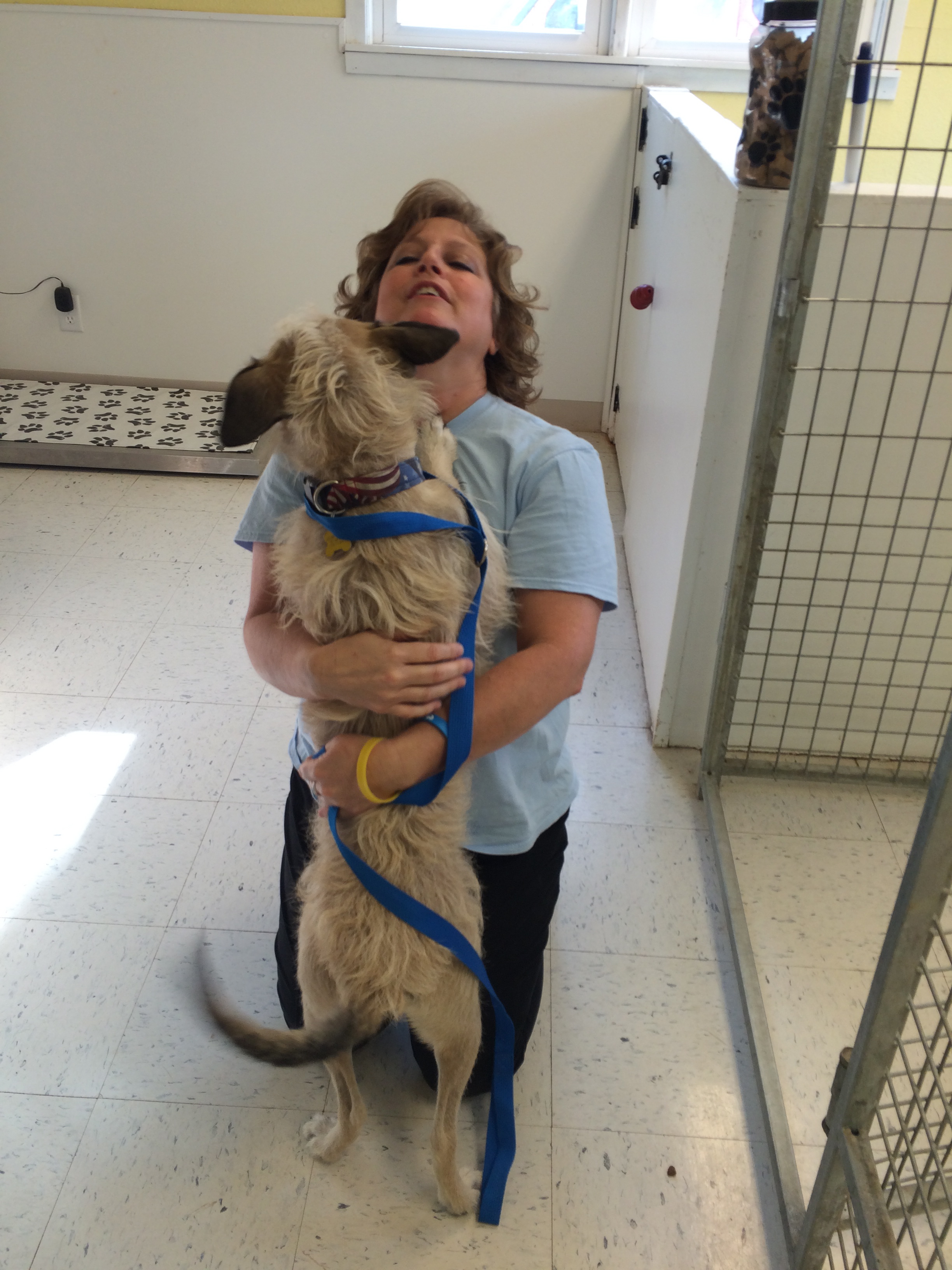 AHeinz57 Pet Rescue And Transport, De Soto, Iowa 2 Traveling Dogs