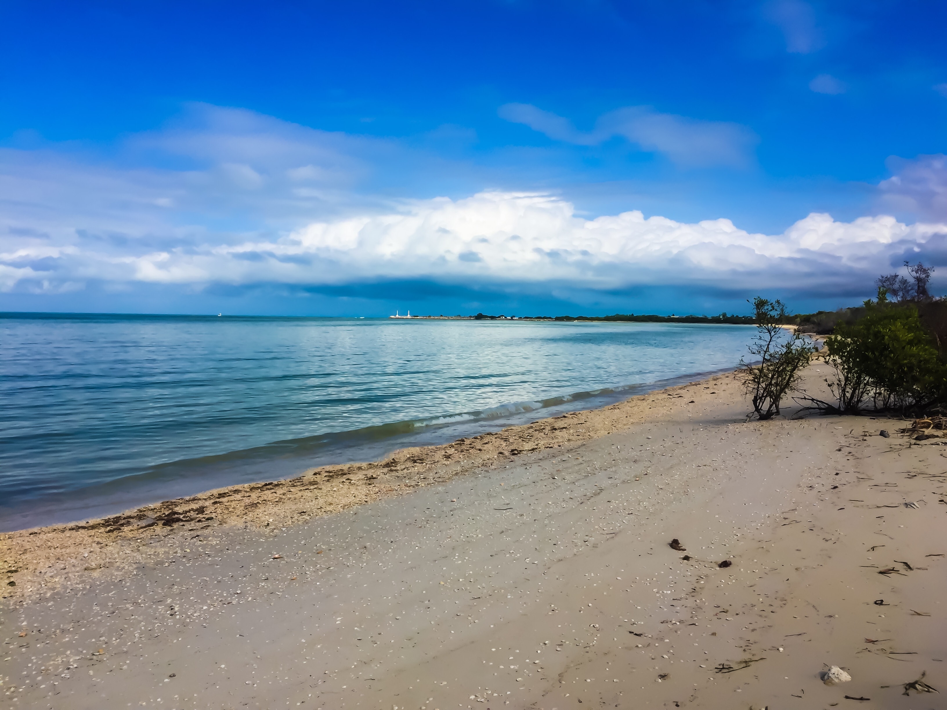 The beaches at Celsetun, Mexico