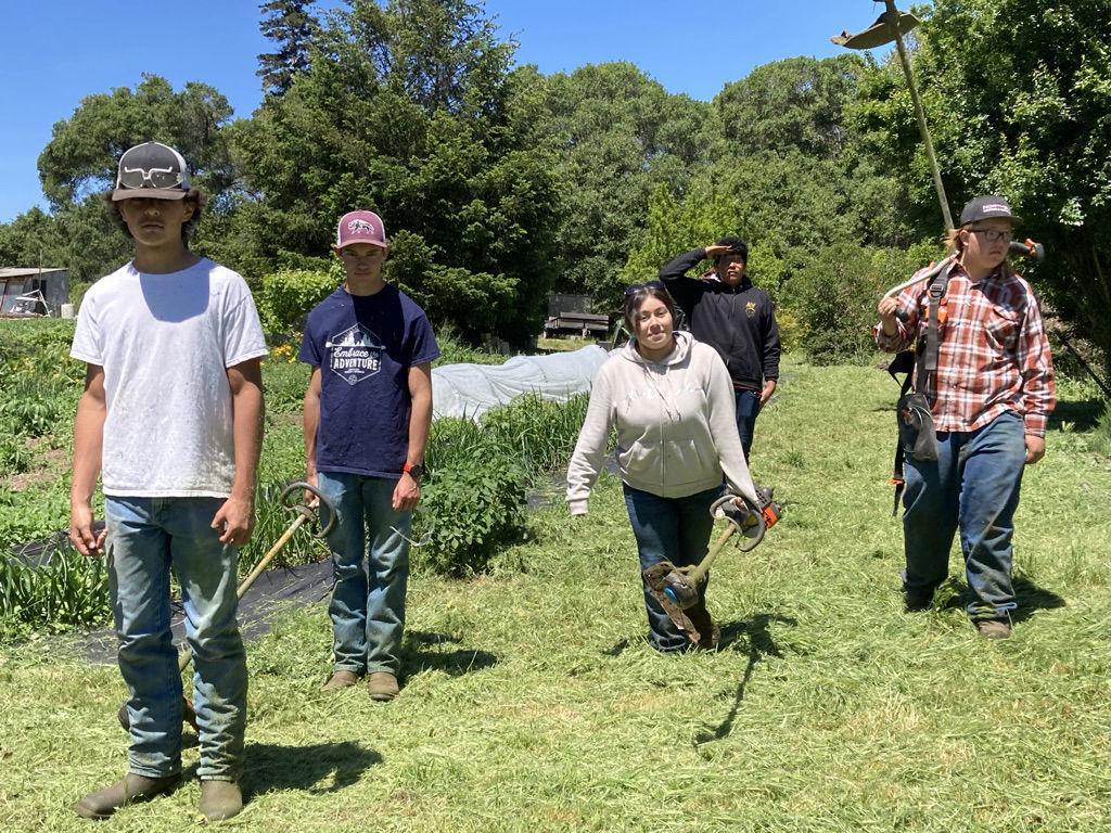 and Weekly Message District Anderson Valley Unified