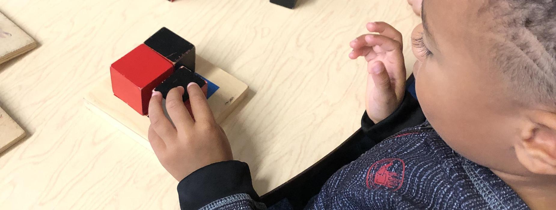 Northern Light School