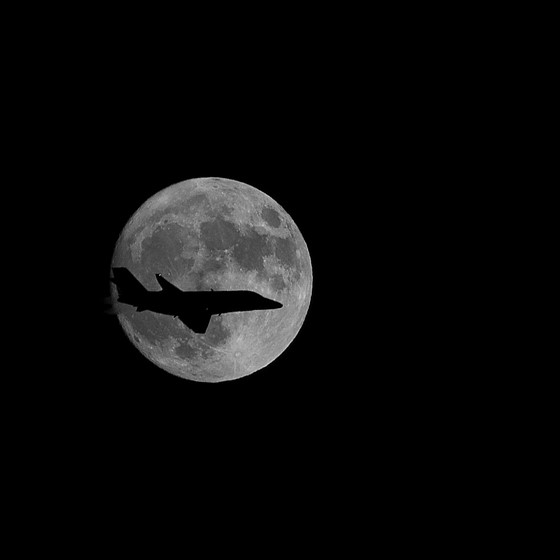 Le Nikon D600 ( Not so bad !) Nikon FX SLR (DF, D1D5, D600D850) Talk Forum Digital