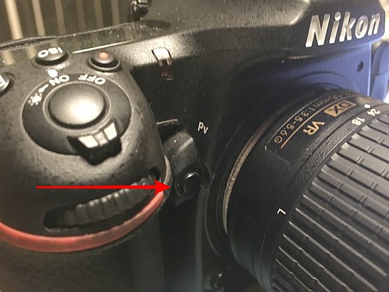 D500 How to turn on Viewfinder Virtual Horizon Nikon Pro DX SLR