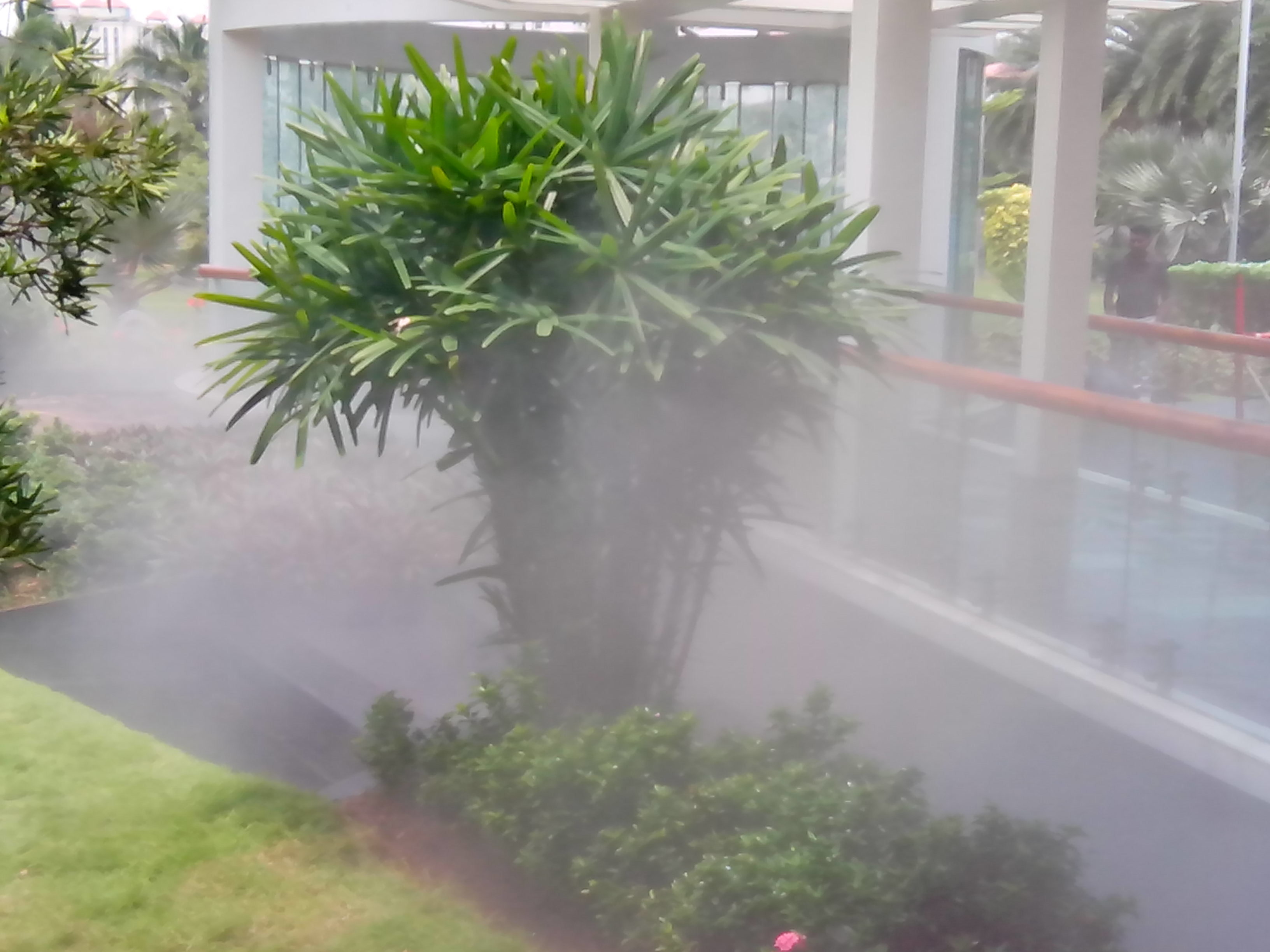 Fogging Systems at Rs 50000/onwards Greenhouse Fogger ID 6584452648
