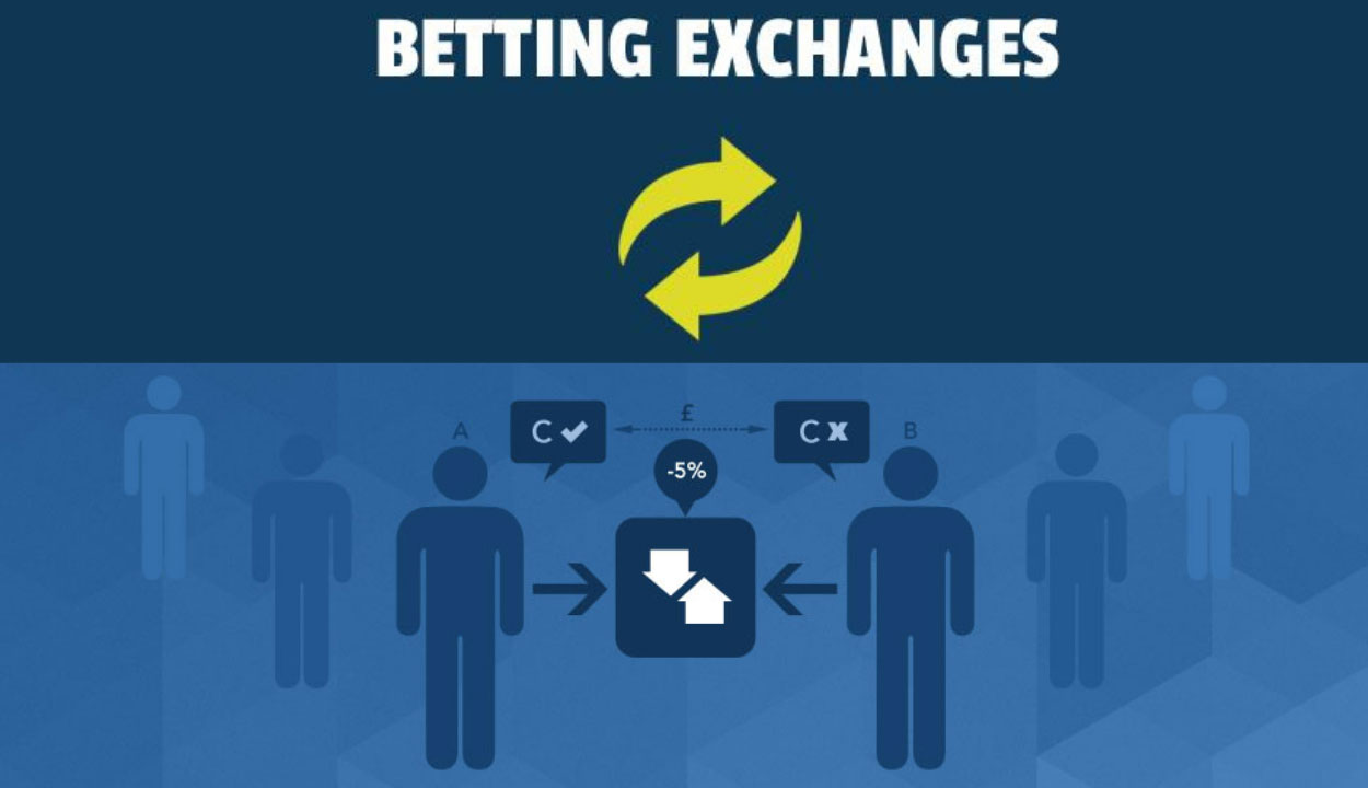 Overview of the Betting Exchange for New Players