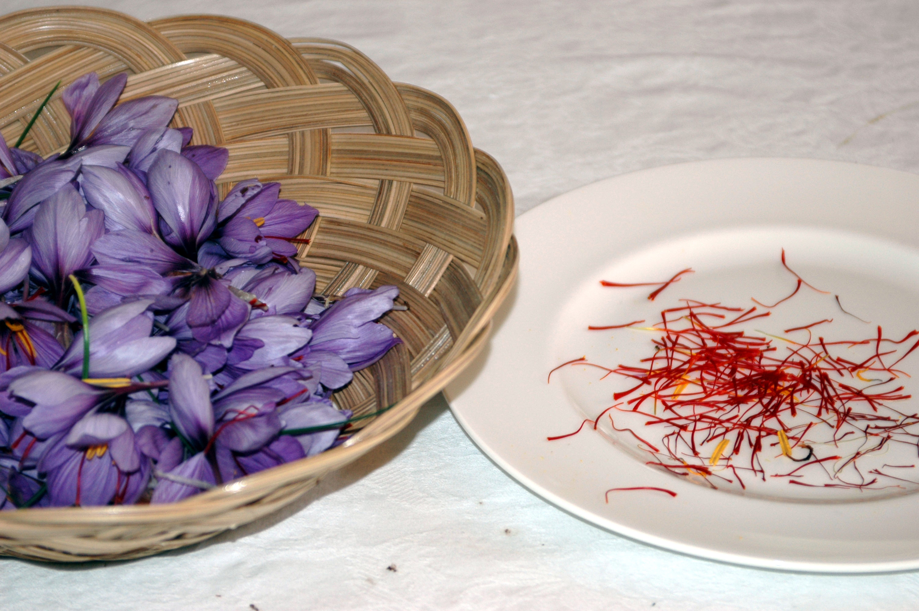 Common Name Saffron Scientific Name Crocus Sativus