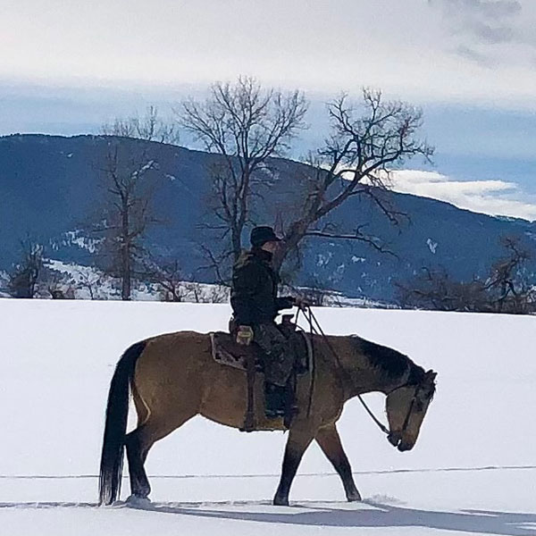 About Us 307 Performance Horses Sheridan, Wyoming