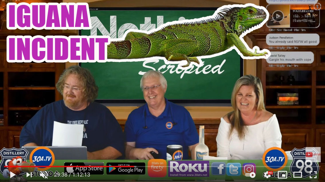 Floridaman claims 'stand your ground' defense in iguana killing Nothing Scripted 30ATV