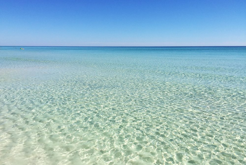 What's the Deal With Sea Lice? 30A