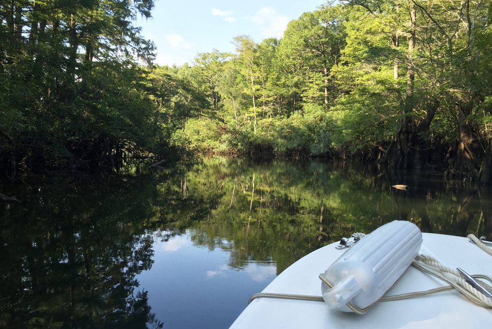 Secret Escapes Find Hidden Seclusion on the Choctawhatchee River 30A