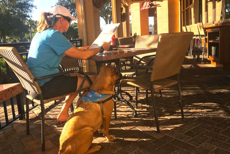 The Ultimate 30A DogFriendly Dining List 30A