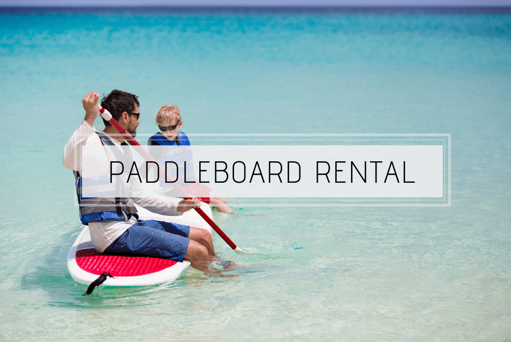 Paddleboard Rentals 30A