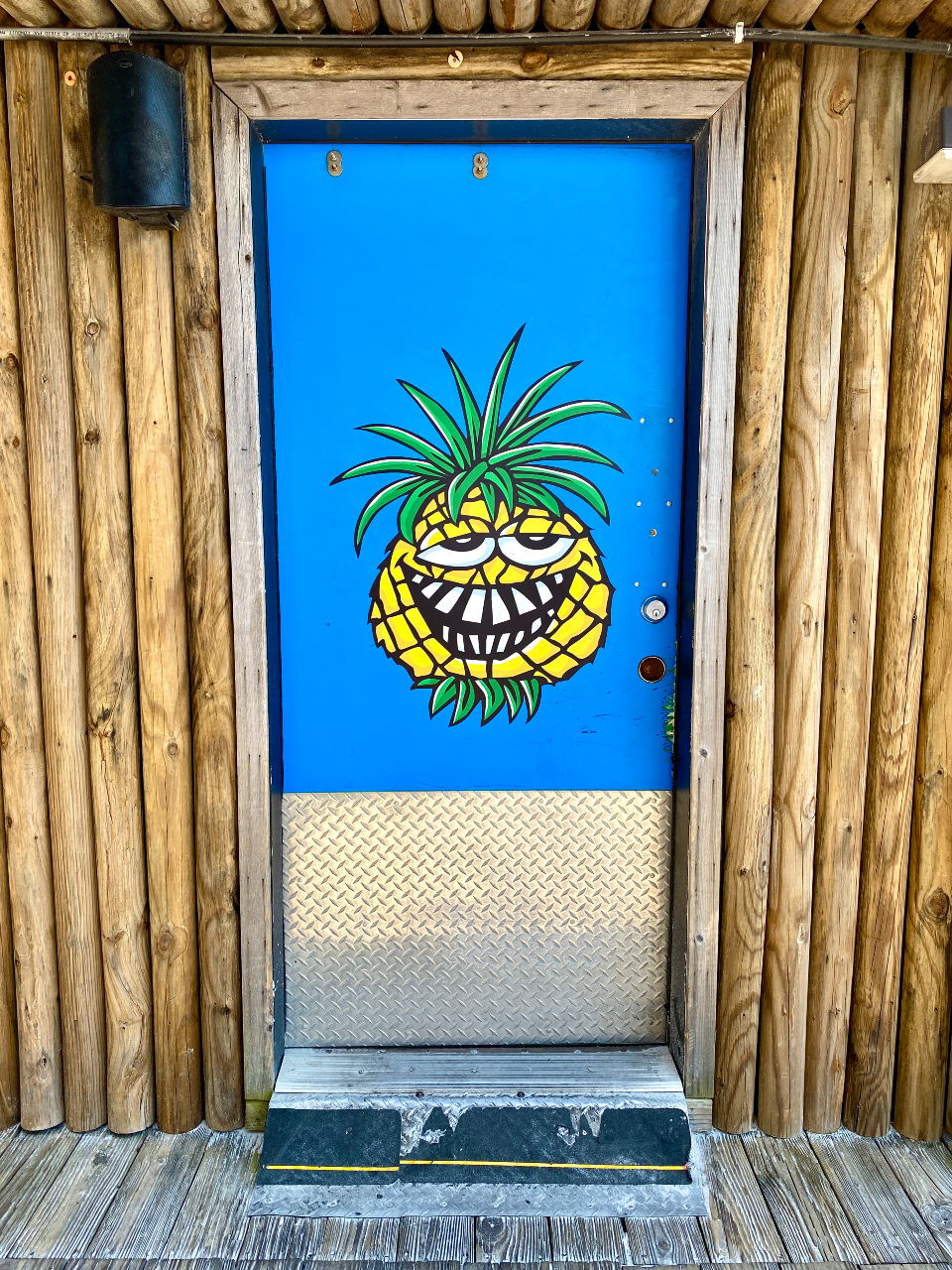 The World's Best Beach Bars Pineapple Willy's in Panama City Beach 30A