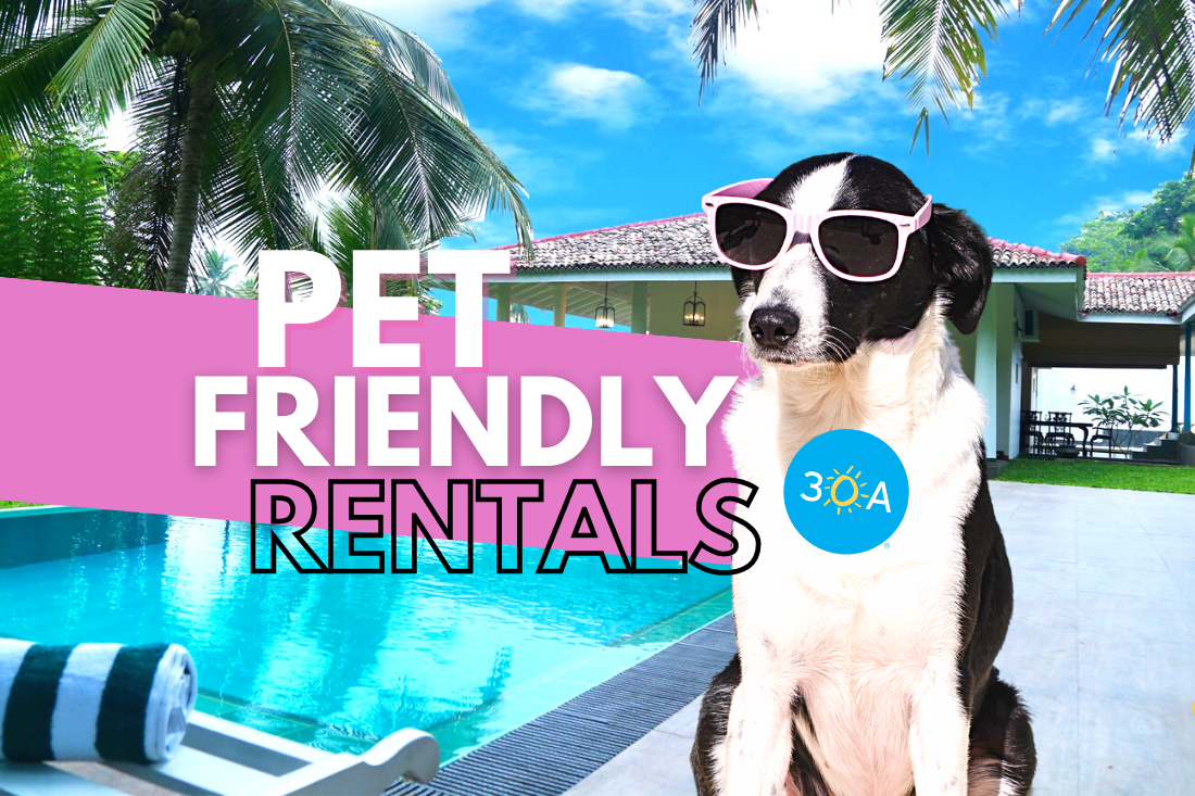 Petfriendly Holiday Rental Homes Near 30A 30A