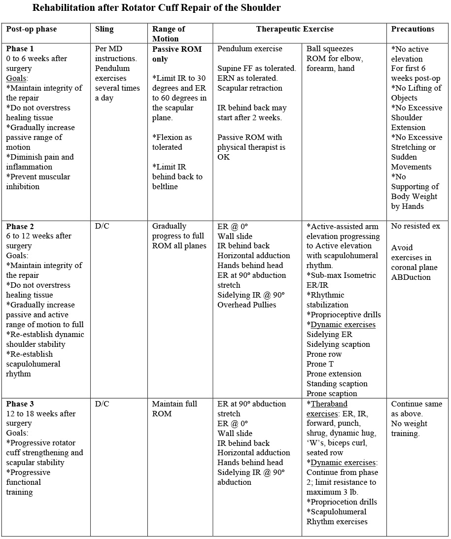 Shoulder Surgery and 1 Armed Workouts 321GOMD