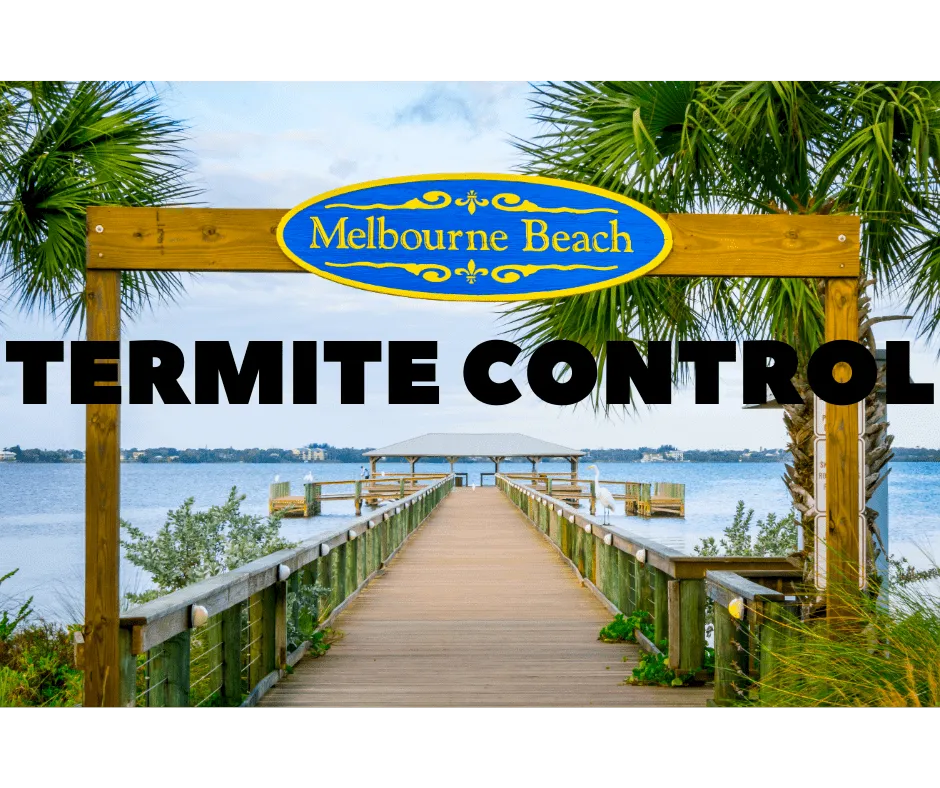 Termite Control Melbourne Beach 3217040434