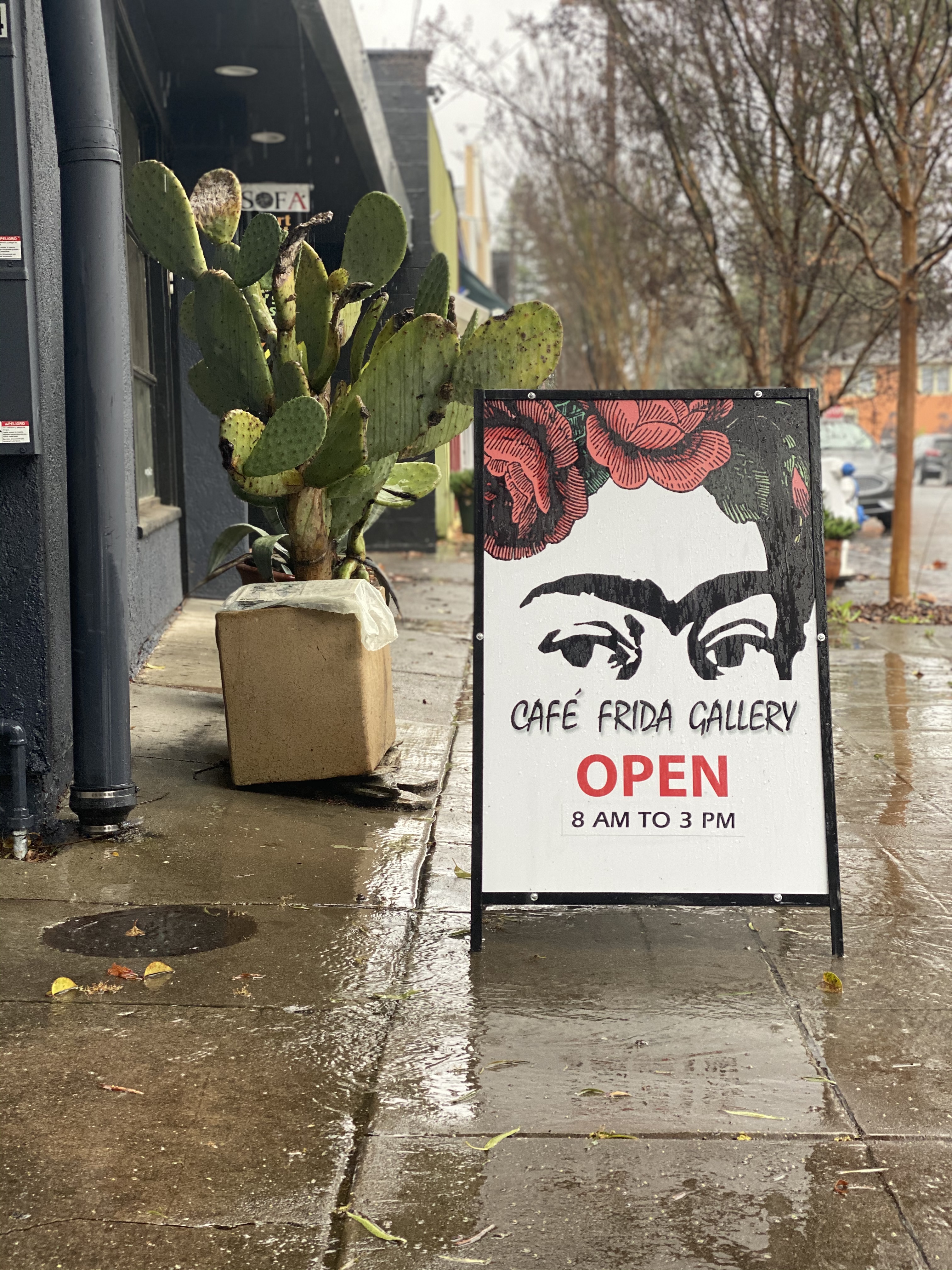 Café Frida is a new art gallery and cafe hot spot in Santa Rosa. 336