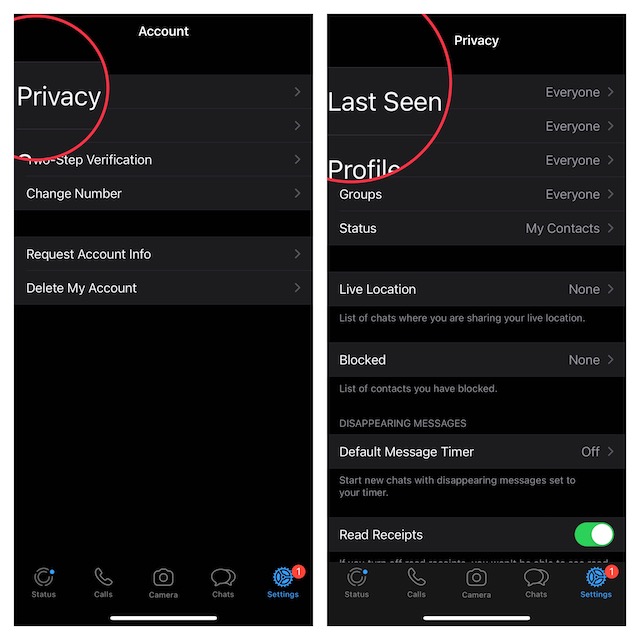Hide WhatsApp Last Seen Status From Specific Contacts on iPhone/Android