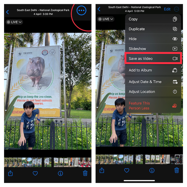How to Convert Live Photos into Video on iPhone on iPhone & iPad