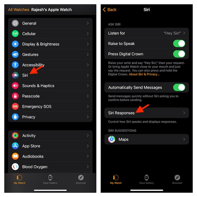 2 Ways to Perfectly Adjust Siri Volume on Apple Watch
