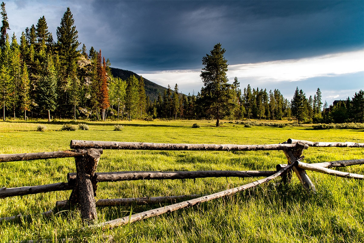 Real Estate of Winter Park 360ideas