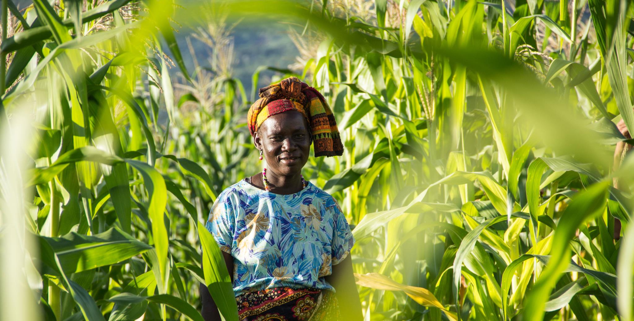 Gapi and ICM Approve 100M Credit Line Boost for Agricultural