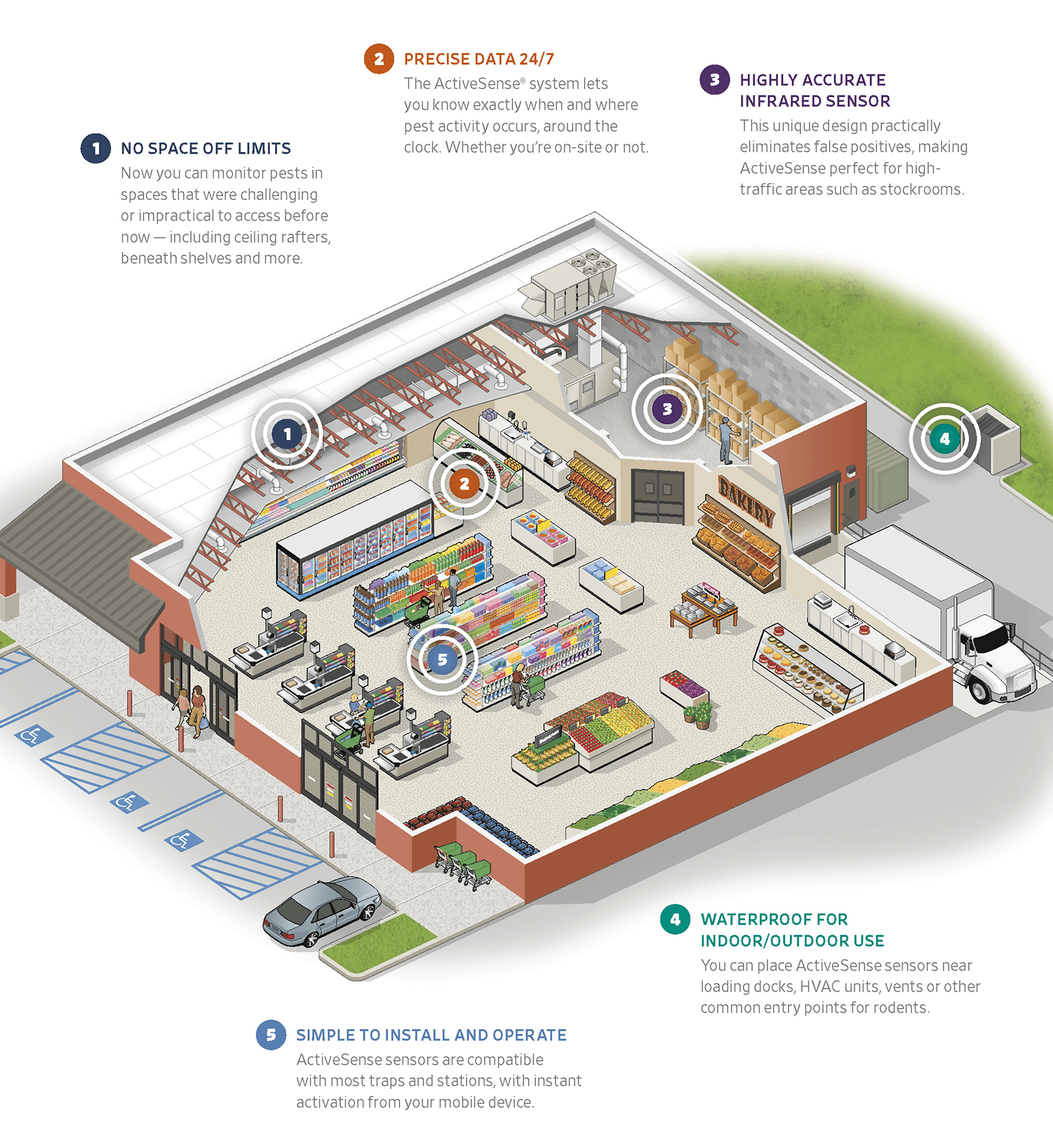 Certified Rodent Control & Management in Jacksonville & Beyond