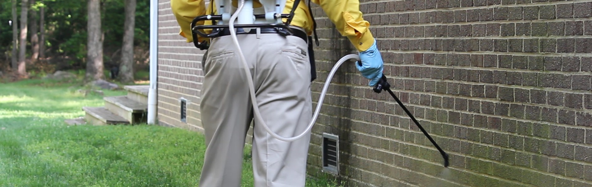 Pest Control in Toronto, ON Pest Exterminators in Toronto