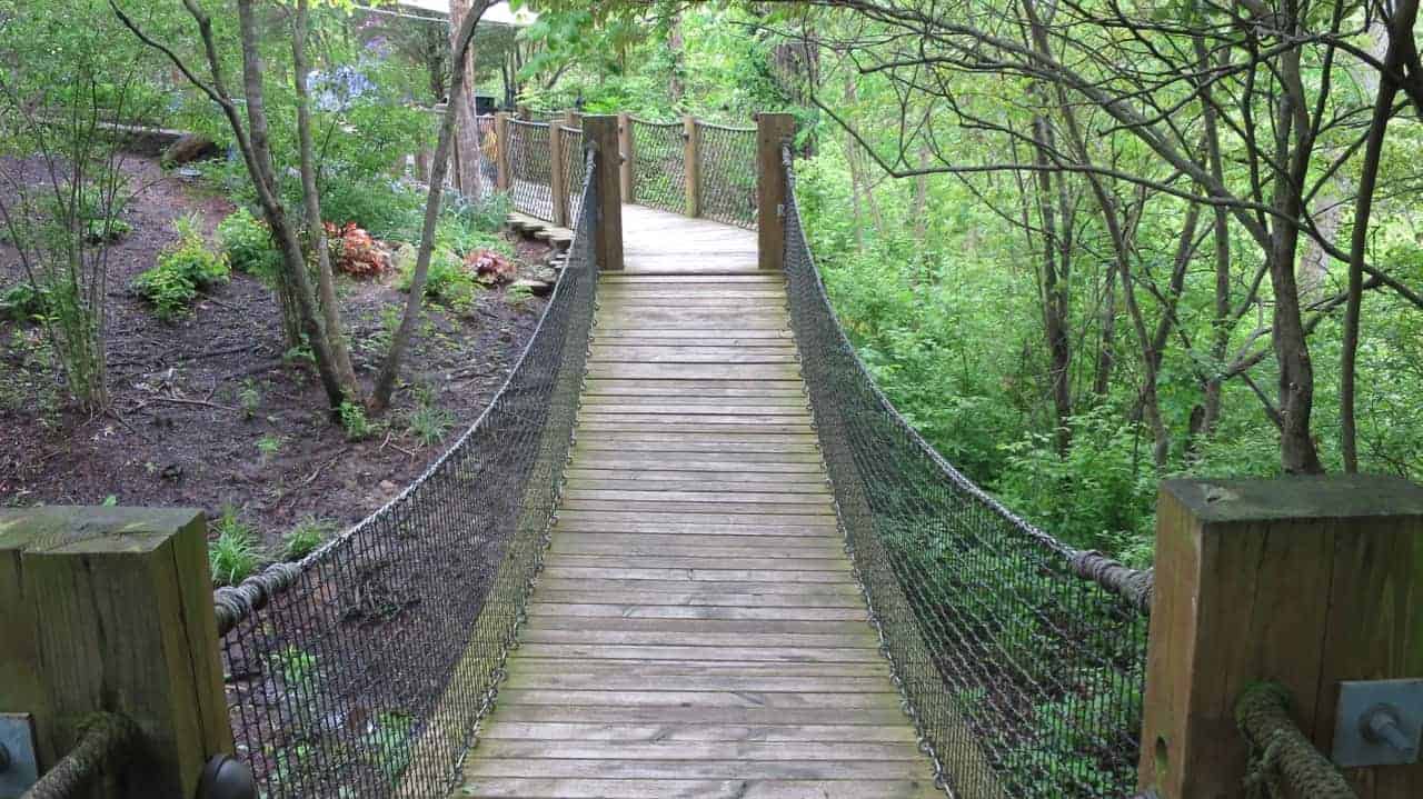 Highfield Discovery Garden at Glenwood Gardens · 365 CINCINNATI