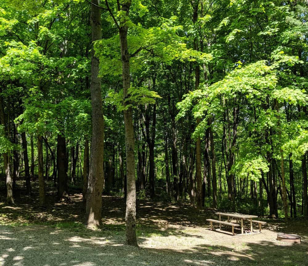 7+ Miami Whitewater Camping Ideas