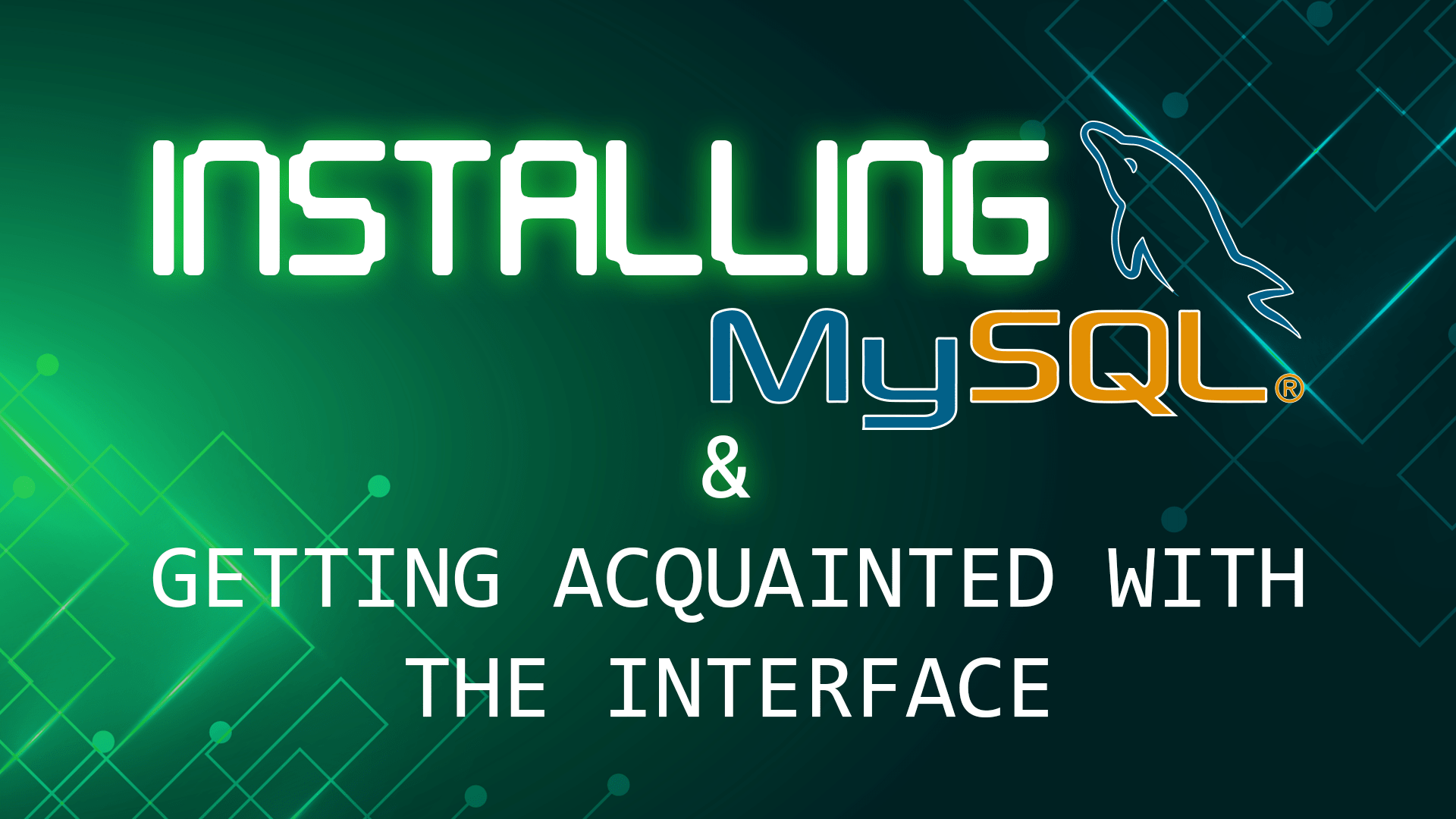 Installing MySQL and getting acquainted with the interface 365 Data