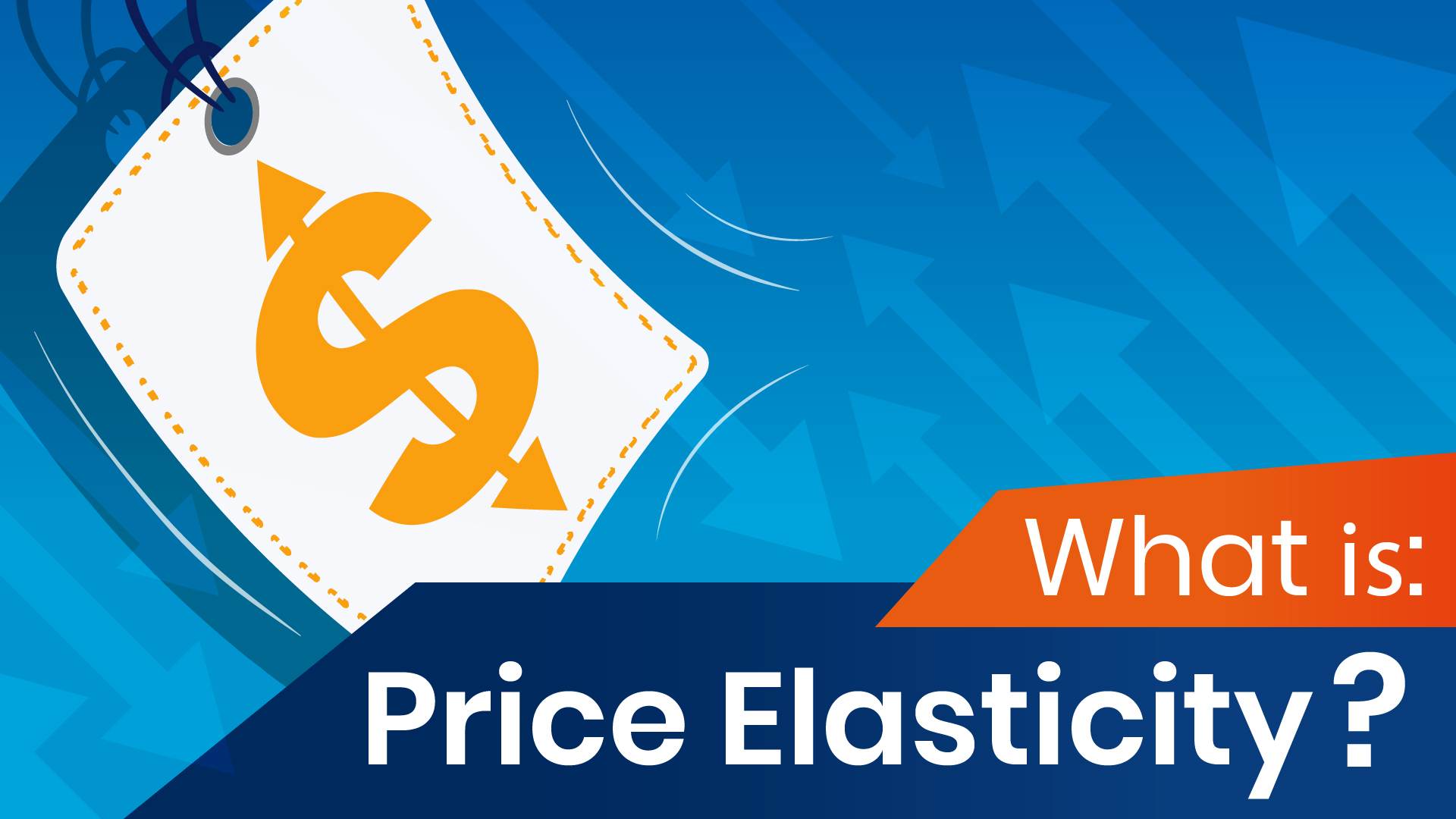 What Is Price Elasticity? 365 Data Science