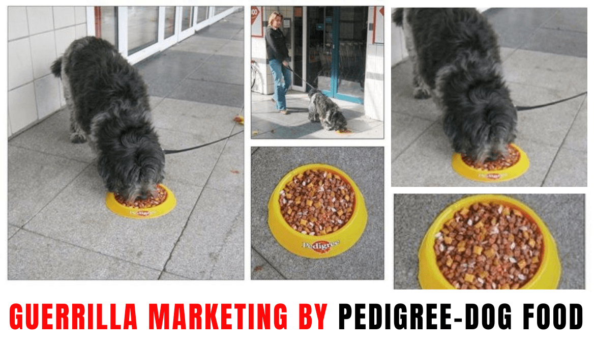Guerrilla Marketing by PedigreeDog Food Viral Marketing Campaign