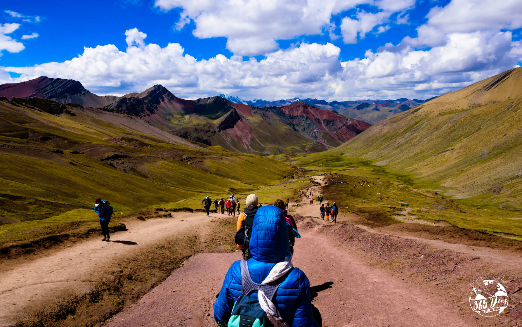 PROCURAR VOOS BARATOS (MOMONDO) 365diasnomundo