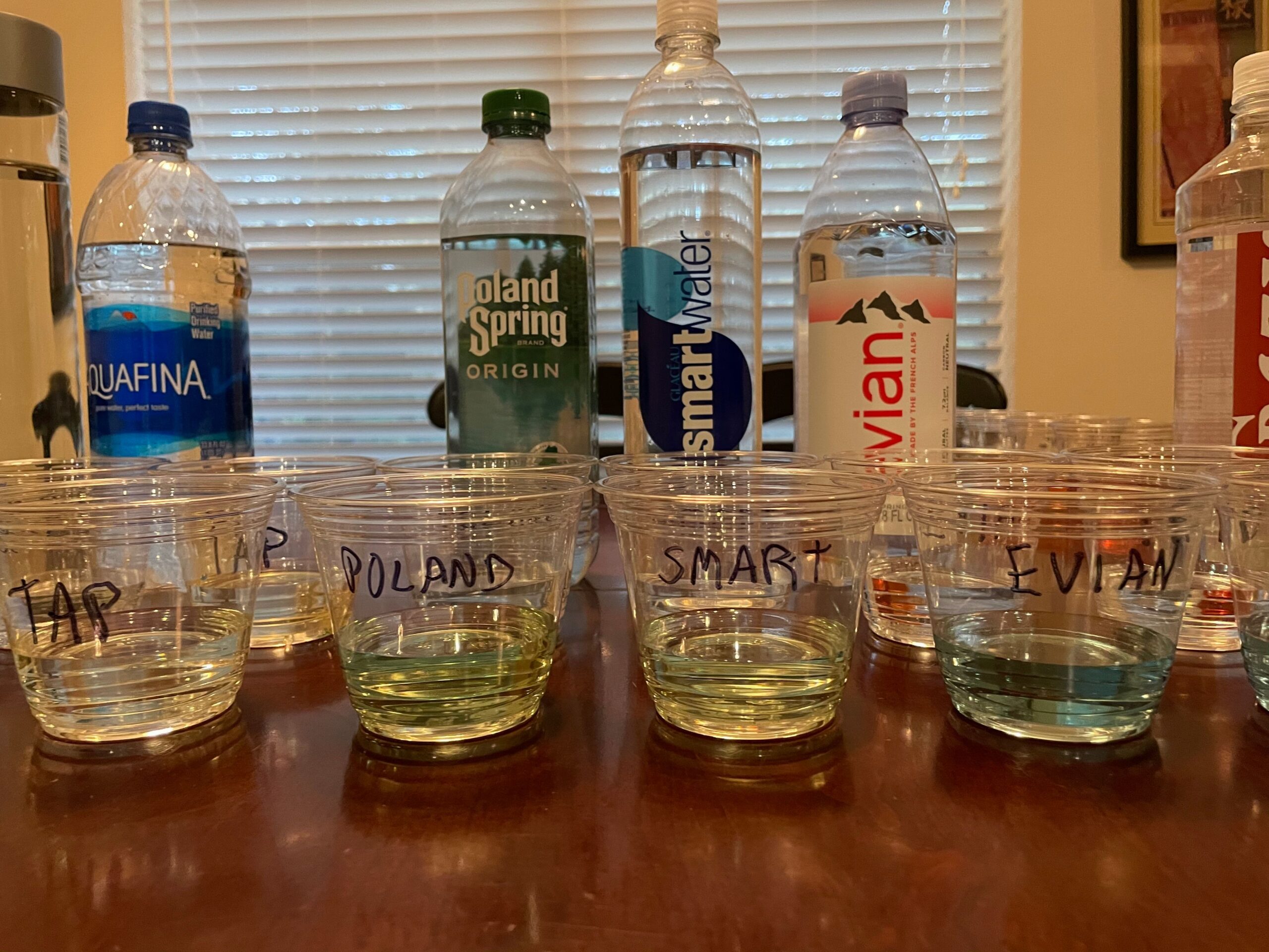 Alkaline Water Filter vs Bottled Water Comparison 365 Driven